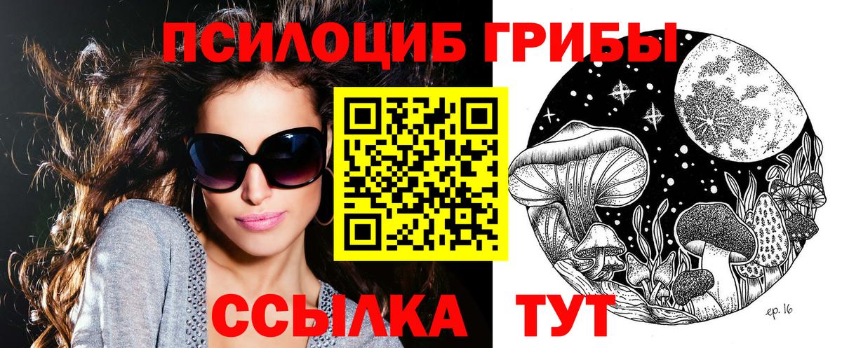 Галлюциногенные грибы Psilocybe Чебоксары