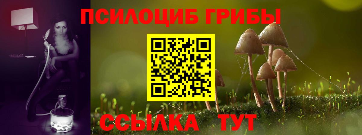Псилоцибиновые грибы GOLDEN TEACHER  Галлюциногенные грибы прущие грибы  Вход с VPN  Чебоксары 
